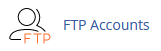 cpanel ftp icon
