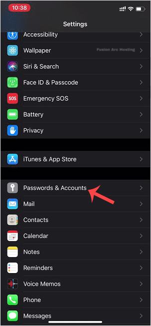 ios apple passwords and accounts