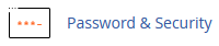 password icon