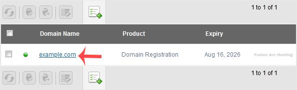How to Update the DNS Nameservers at NetEarthOne or LogicBoxes-Based Registrars 10 select logicboxes domain