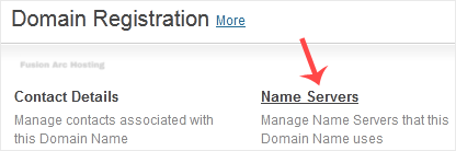 How to Update the DNS Nameservers at NetEarthOne or LogicBoxes-Based Registrars 11 update ns neo